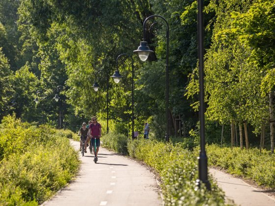 žiedadulkių koncentracijos žemėlapis